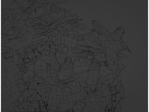 Pink french ROSES 3Dモデル