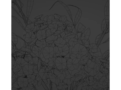 HYDRANGEA Bouquet with Eucalyptus 3D Model