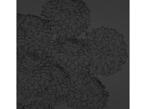 DAHLIA Bouquet 3D Model