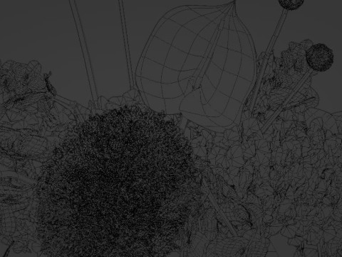 ORCHID Bouquet 3D Model