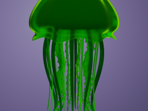 Jellyfish 3D Model 3D