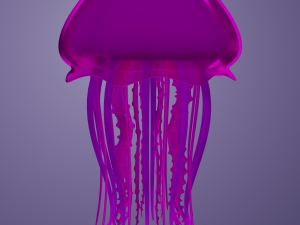 Jellyfish 3D Model 3D