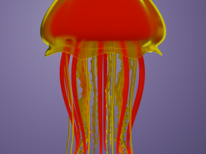 Jellyfish 3D Model 3D