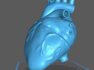 Heart 3D Print Model