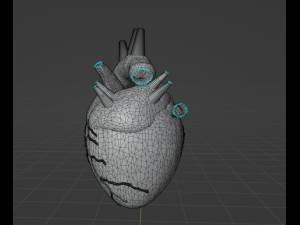 HUMAN HEART - ANATOMY 3D MODEL Modelo 3D
