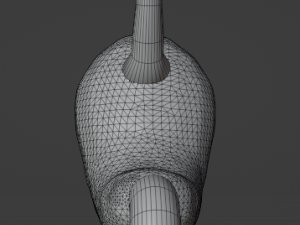 HUMAN STOMACH - ANATOMY 3D Model