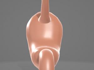HUMAN STOMACH - ANATOMY 3D Model