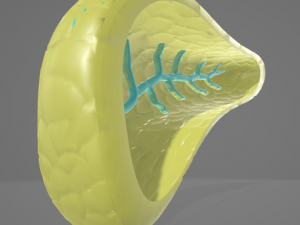 PANCREAS - HUMAN ANATOMY 3D Модель