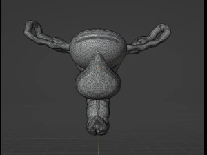 FEMALE REPRODUCTIVE SYSTEM - ANATOMY 3D MODEL 3D Model