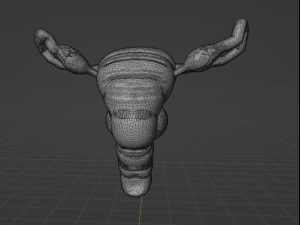FEMALE REPRODUCTIVE SYSTEM - ANATOMY 3D MODEL 3D 模型