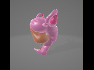 FEMALE REPRODUCTIVE SYSTEM - ANATOMY 3D MODEL 3D 模型
