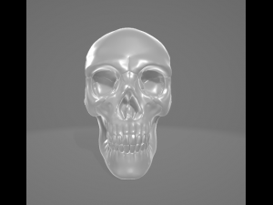 Human Skull 3Dモデル