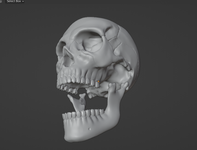Human Skull 3Dモデル .c4d .max .obj .3ds .fbx .stl .blend 