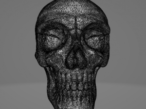 Human Skull 3Dモデル