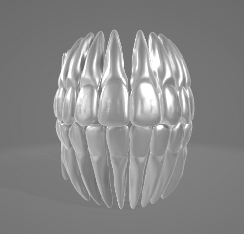 TEETH AND ROOTS Modello 3D .c4d .max .obj .3ds .fbx .stl .blend 