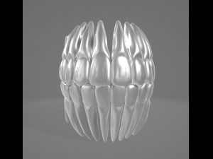 TEETH AND ROOTS 3D Model
