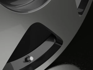 Disk Wheel Rims 3D Model