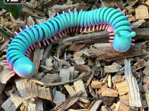 Flexi Millipede 3D Print Model