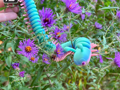 Millepiedi flessibile Stampa 3D