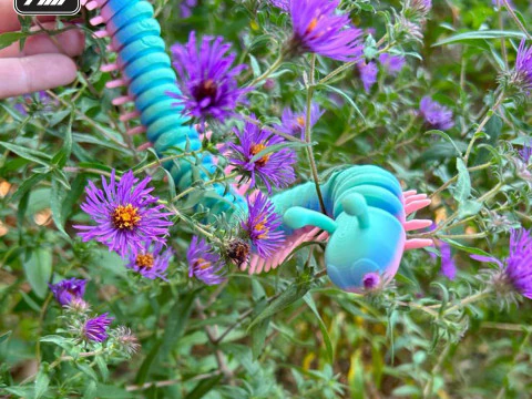 Flexi Millipede 3D Print Model