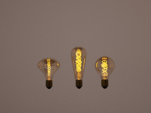 Light bulb 3D 模型