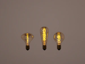 Light bulb 3D Model
