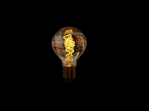 Light bulb 3D Model