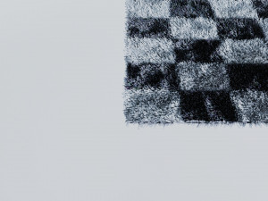 Carpet 3D Model