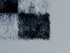 Carpet 3D Model