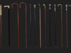 Walking sticks 3D Model