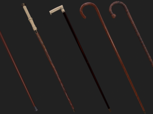 Walking sticks Modèle 3D