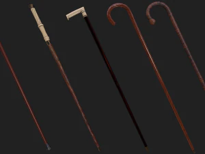 Walking sticks 3D Model