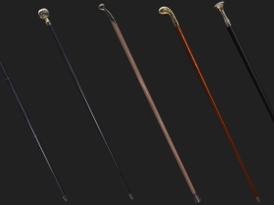 Walking sticks Modèle 3D