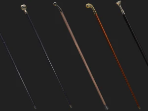 Walking sticks 3D Model