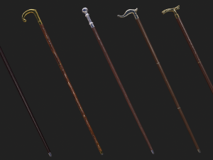 Walking sticks Modèle 3D
