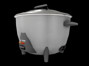 Rice Cooker Model 1 Model 3D