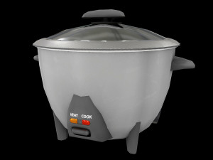 Rice Cooker Model 1 Model 3D