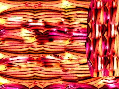 Kebab Rice Recipe 3D Model