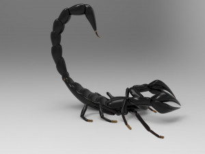 Modellini 3d Modelo 3D