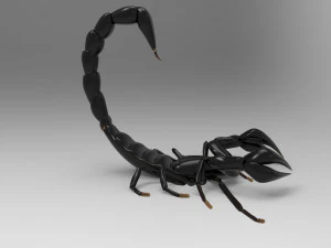 Modellini 3d 3D Model