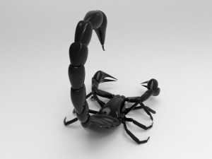 Modellini 3d Modelo 3D
