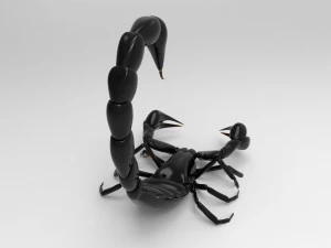 Modellini 3d 3D Model