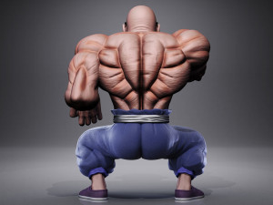 MASTER ROSHI Model 3D