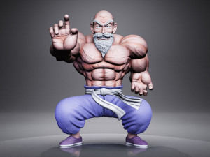 MASTER ROSHI Model 3D