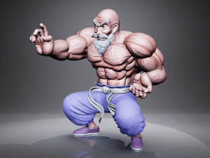 MASTER ROSHI Model 3D