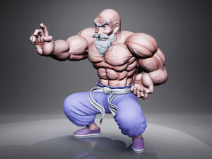 MASTER ROSHI 3D Model