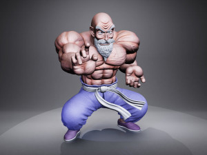 MASTER ROSHI Model 3D