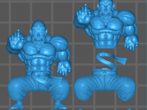MASTER ROSHI Model 3D
