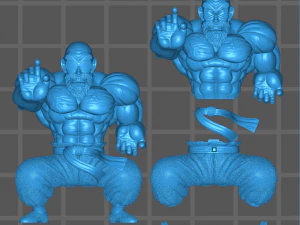MASTER ROSHI 3D Model