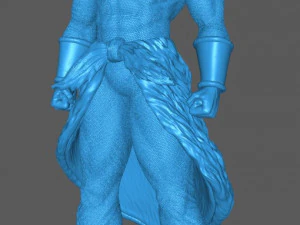 Broly dg super 3D Model